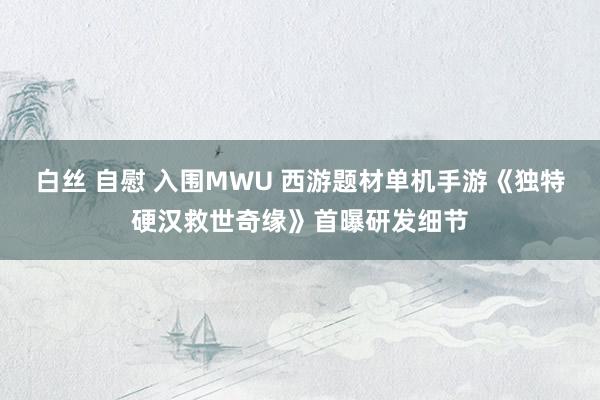 白丝 自慰 入围MWU 西游题材单机手游《独特硬汉救世奇缘》首曝研发细节