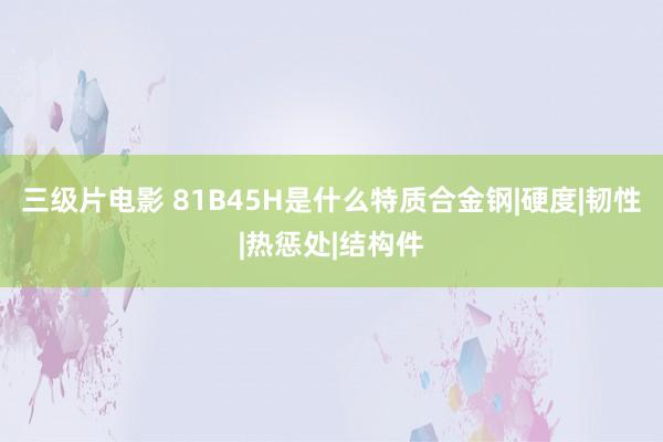 三级片电影 81B45H是什么特质合金钢|硬度|韧性|热惩处|结构件