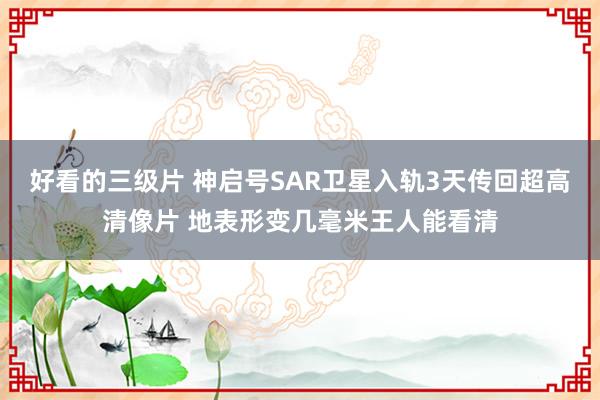 好看的三级片 神启号SAR卫星入轨3天传回超高清像片 地表形变几毫米王人能看清